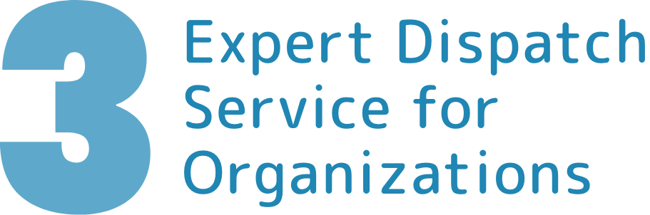 Expert Dispatch Service for Organizations